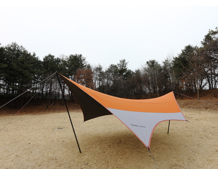 [트레블첵] 헥사 타프